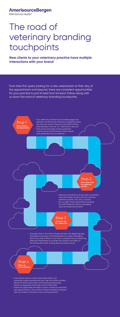 Veterinary branding customer journey