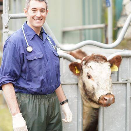 Gareth Keevill