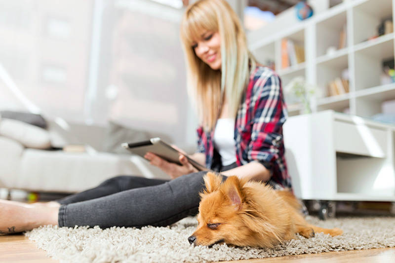 lady_tablet_dog